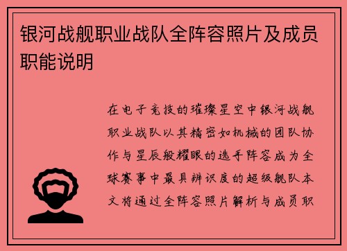 银河战舰职业战队全阵容照片及成员职能说明