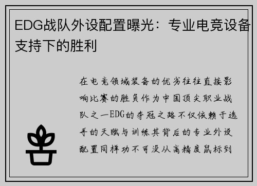 EDG战队外设配置曝光：专业电竞设备支持下的胜利